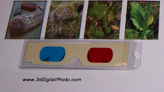 3D glasses pouch 1010-83